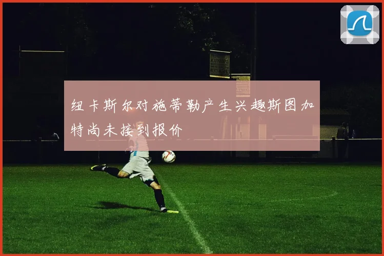 纽卡斯尔对施蒂勒产生兴趣斯图加特尚未接到报价