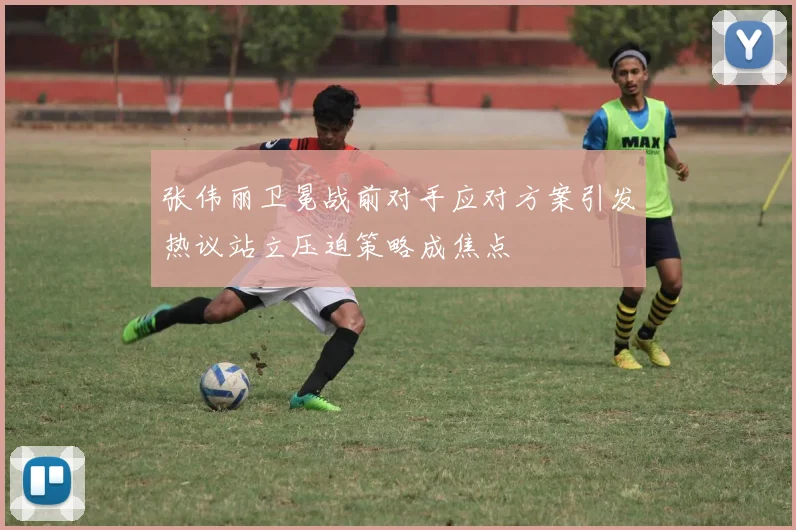 张伟丽卫冕战前对手应对方案引发热议站立压迫策略成焦点